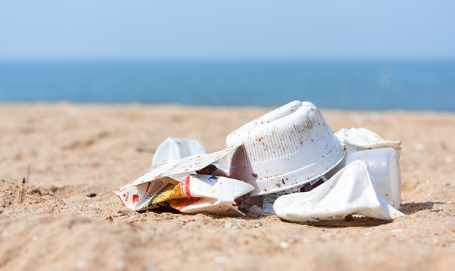 '플라스틱 오염 종식'···4~13일 세계 환경의날 행사