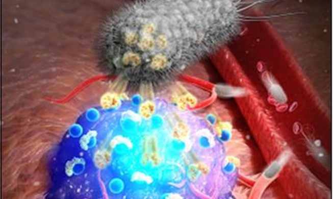 한국 연구진, 암 찾아 형광 내는 박테리아 기술 개발···수술 정밀도 향상