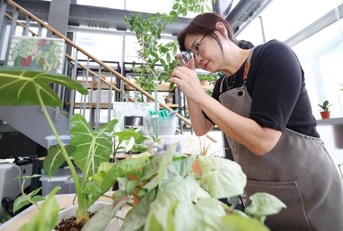 [사진으로 보는 한국] 식집사들의 돌봄문화…’반려식물클리닉’