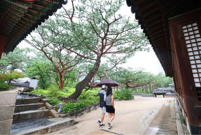 [사진으로 보는 한국] 아직 끝나지 않은 ‘장마’