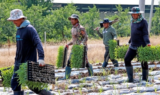 ﻿정부, 외국인 근로자 일터·숙소 점검···
