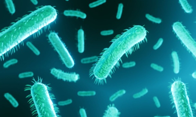 한국 연구진, 식중독균 신속 검출 기술 개발···