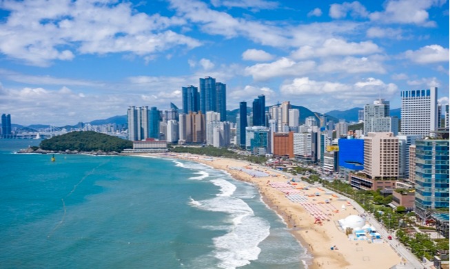 부산, 세계 도서관 중심 된다···내년 세계도서관정보대회 유치 확정