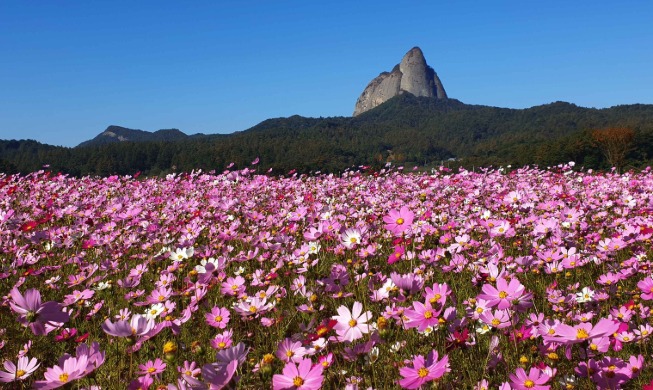 관광으로 기억하는 '광복 80주년'···그 의미 담은 기념품 선물