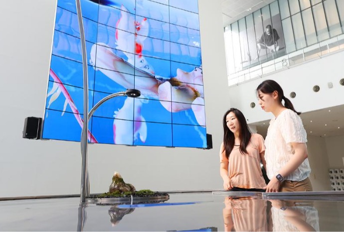 [사진으로 보는 한국] 디지털 시대의 새로운 미감(美感)