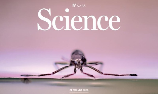 한국 연구진, 물 위 걷는 소금쟁이 비밀 규명···초소형 로봇으로 구현