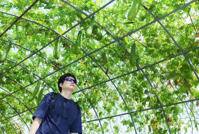 [사진으로 보는 한국] '처서(處暑)' 하루 앞...가을이 온다