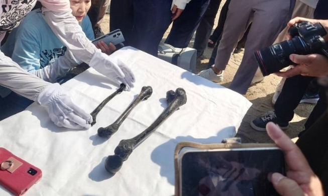 일본 조세이 탄광서 수몰된 조선인 136명···83년 만에 유골 발견