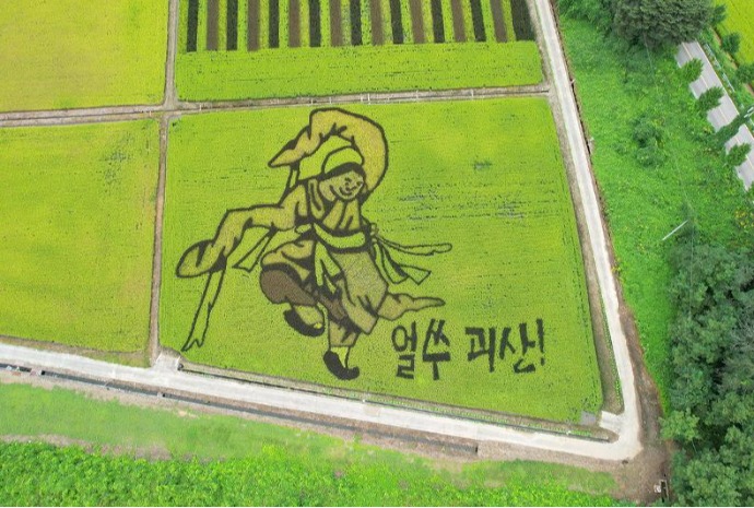 [사진으로 보는 한국] 유색벼로 그린 '논 그림'