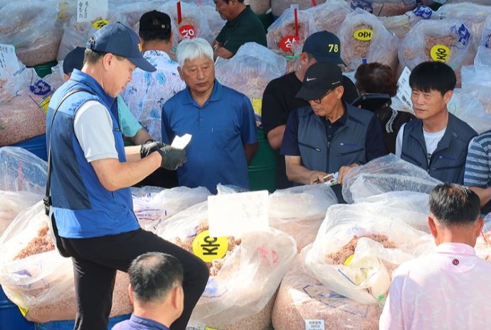 [사진으로 보는 한국] '추(秋)젓' 경매로 분주한 위판장