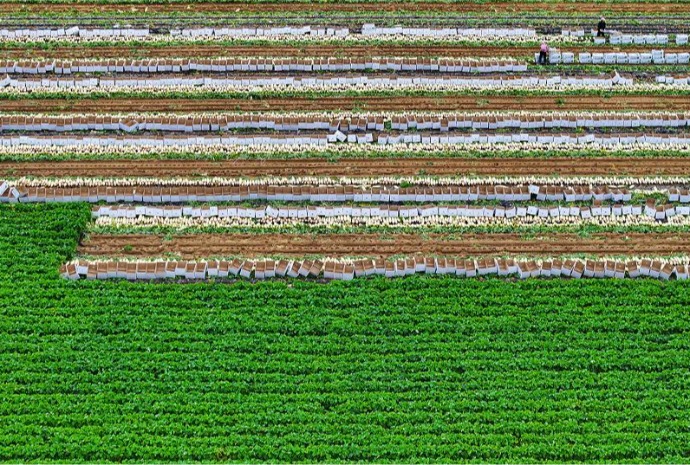 [사진으로 보는 한국] 수확의 계절 '가을'