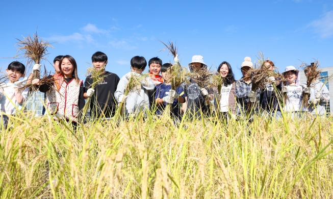 농요와 함께한 수확의 기쁨···국립농업박물관, 벼 베기 체험 행사 개최