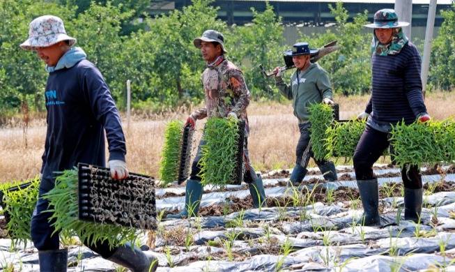 [2025 결산] ③ 외국인 체류 283만 시대···외국인 정책 ‘관리’에서 ‘정주’로