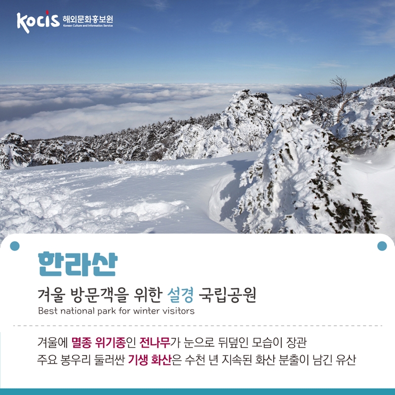 한라산   겨울 방문객을 위한 설경 국립공원 Best national park for winter visitors   겨울에 멸종 위기종인 전나무가 눈으로 뒤덮인 모습이 장관 주요 봉우리 둘러싼 기생 화산은 수천 년 지속된 화산 분출이 남긴 유산