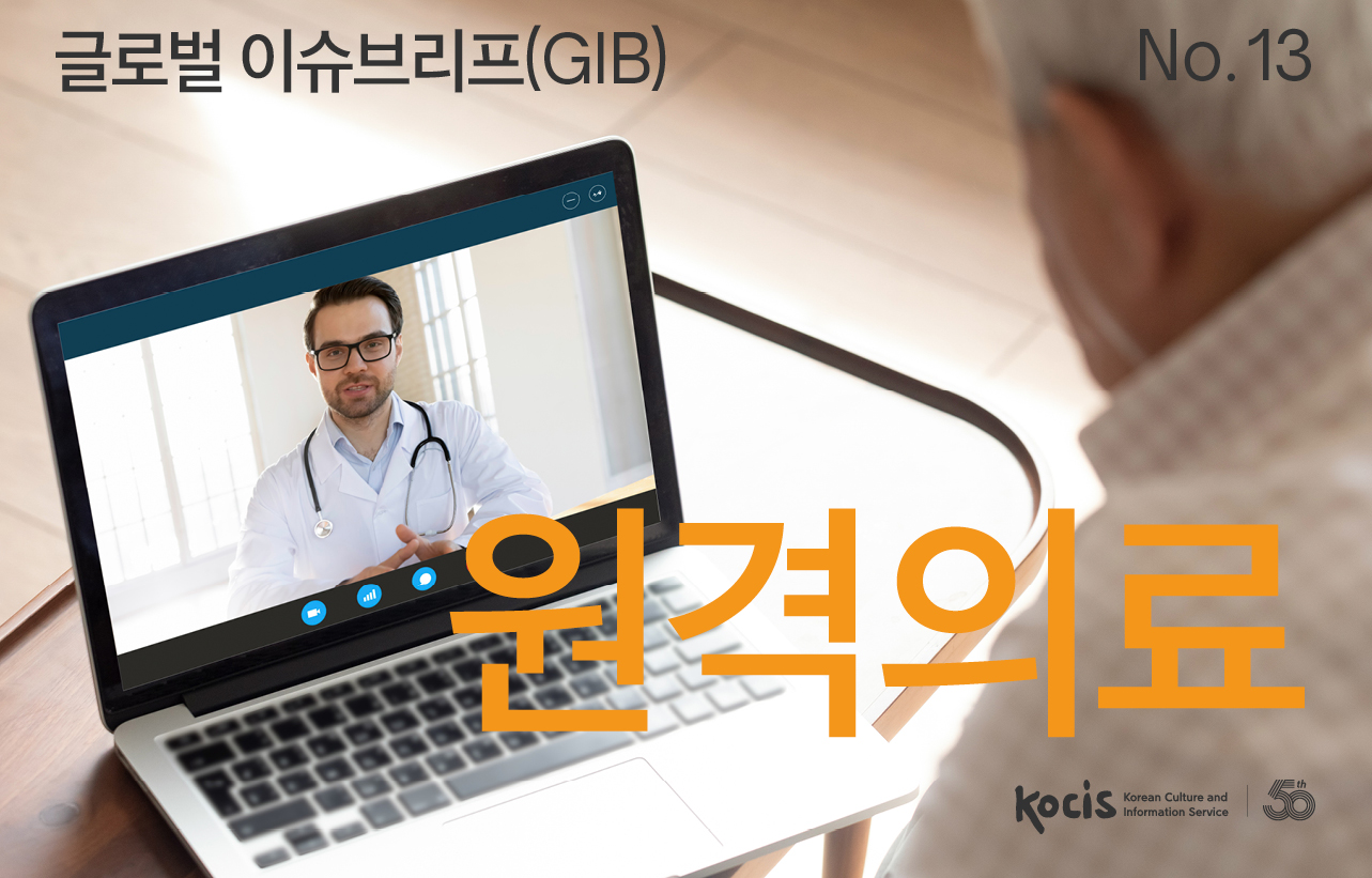 글로벌이슈브리프(GIB) No.13 원격의료