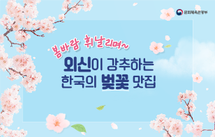 봄바람 휘날리며~ 외신이 강추하는 한국의 벚꽃 맛집