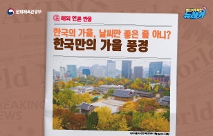 [해외 언론 반응] 한국의 가을, 날씨만 좋은 줄 아니? 한국만의 가을 풍경