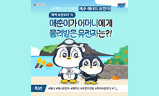 수백년 간 진화한 제주 해녀의 유전자! ‘폭싹 속았수다’ 속 애순이가 어머니에게 물려받은 유전자는?!  #해녀 #제주도 #유전자진화 #폭싹속았수다 #🔍 제주 배경 + 해녀 복장 엄마와 손잡고 있는 어린 펭파원