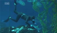 [휴먼스토리 'OURS'] Ep.2. 해녀의 연인