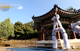 Korean martial art Taekwondo  (한국의 무술 ‘태권도’)