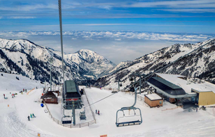 코로나19 관련 주재국 지원 방안 현황자료