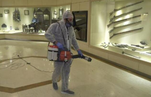 주재국 문화예술 등 동향 보고