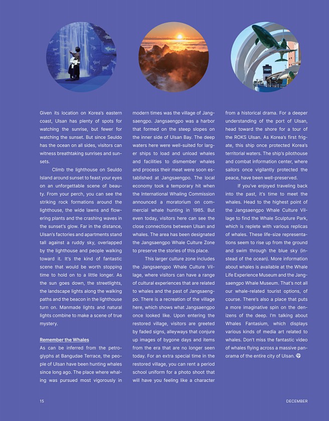 15페이지
