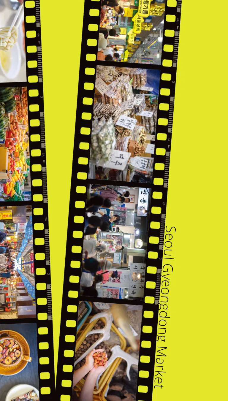 visual_sub1_m